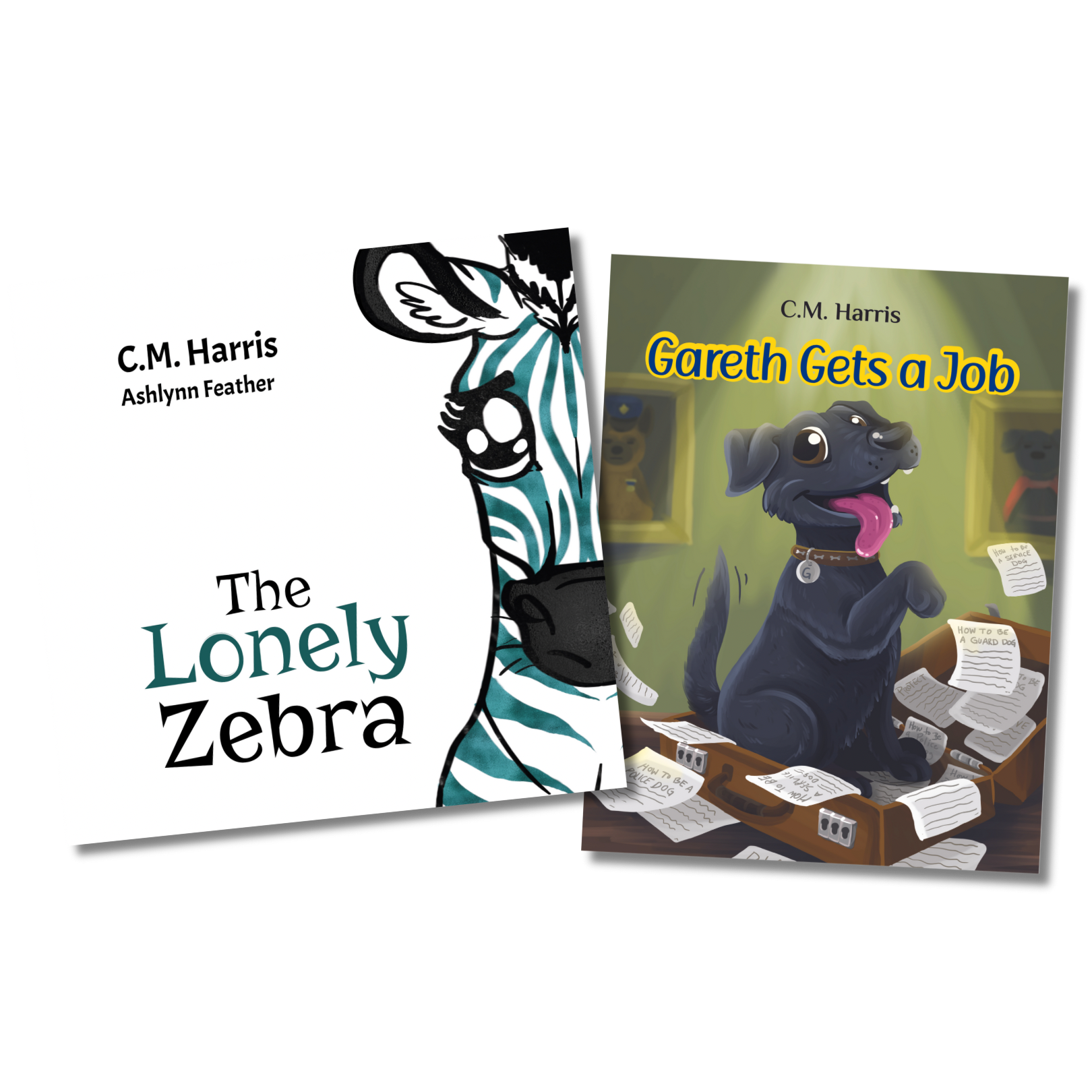 Summer Literacy Bundle: 2 Hardcover Books for $21!